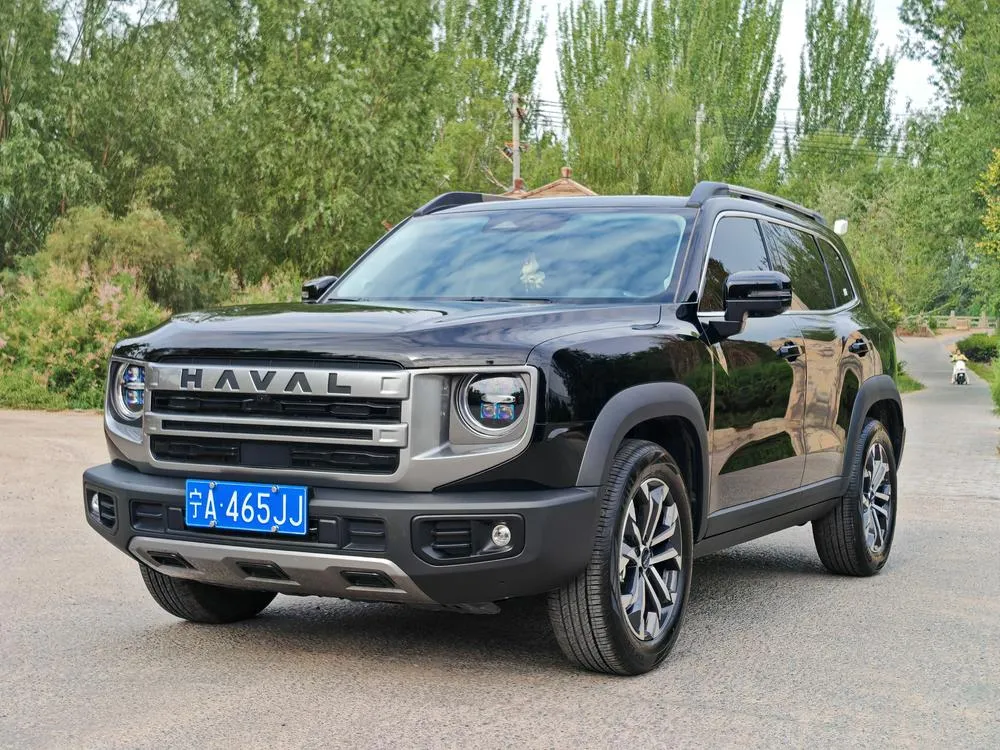 Haval Big Dog, 2024