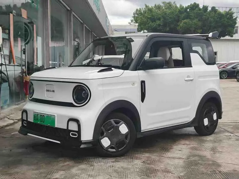 Galaxy Panda, 2024