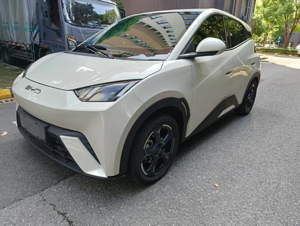 BYD Seagull, 2023