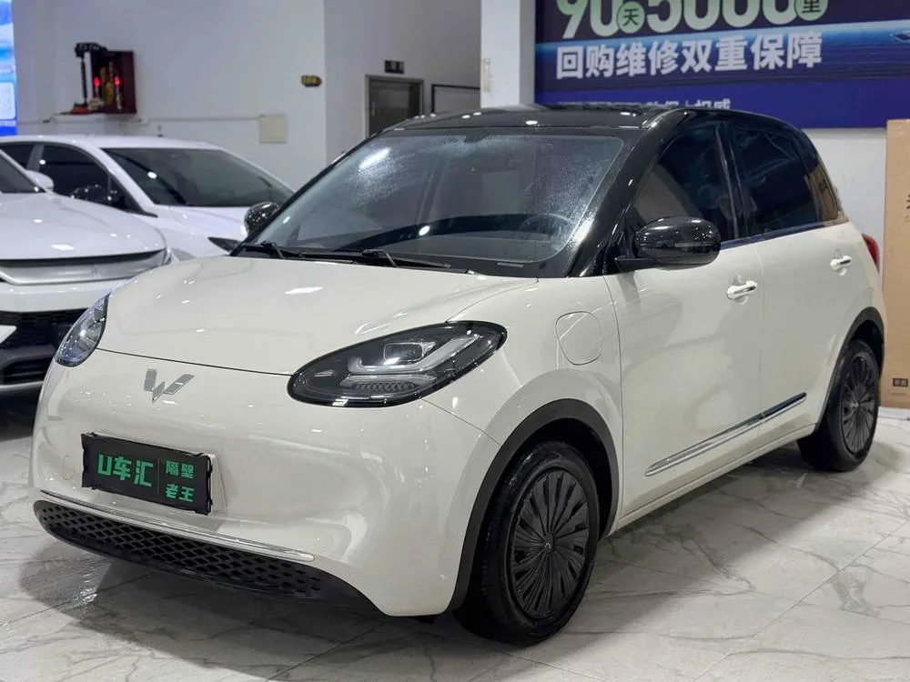 Wuling Bingo, 2024