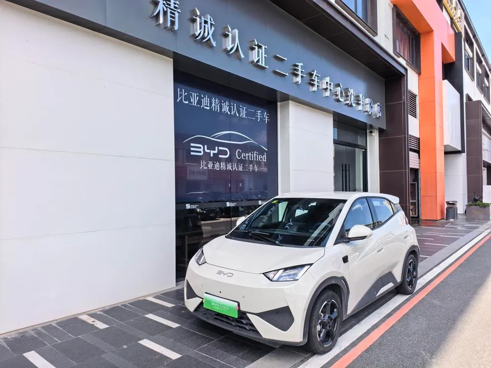BYD Seagull, 2025