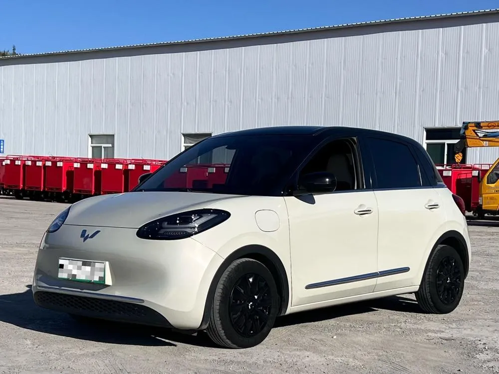 Wuling Bingo, 2023