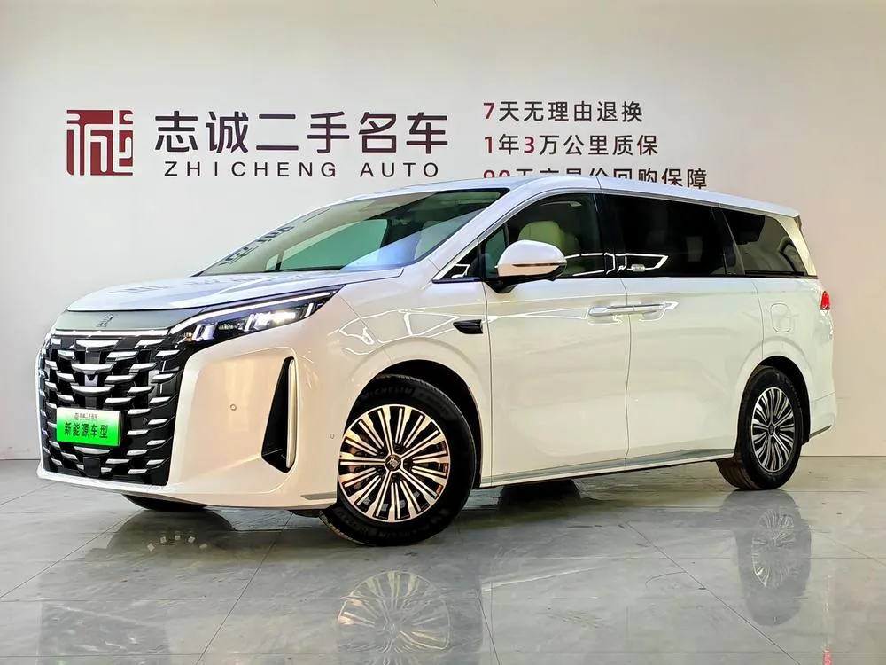 BYD Xia, 2025