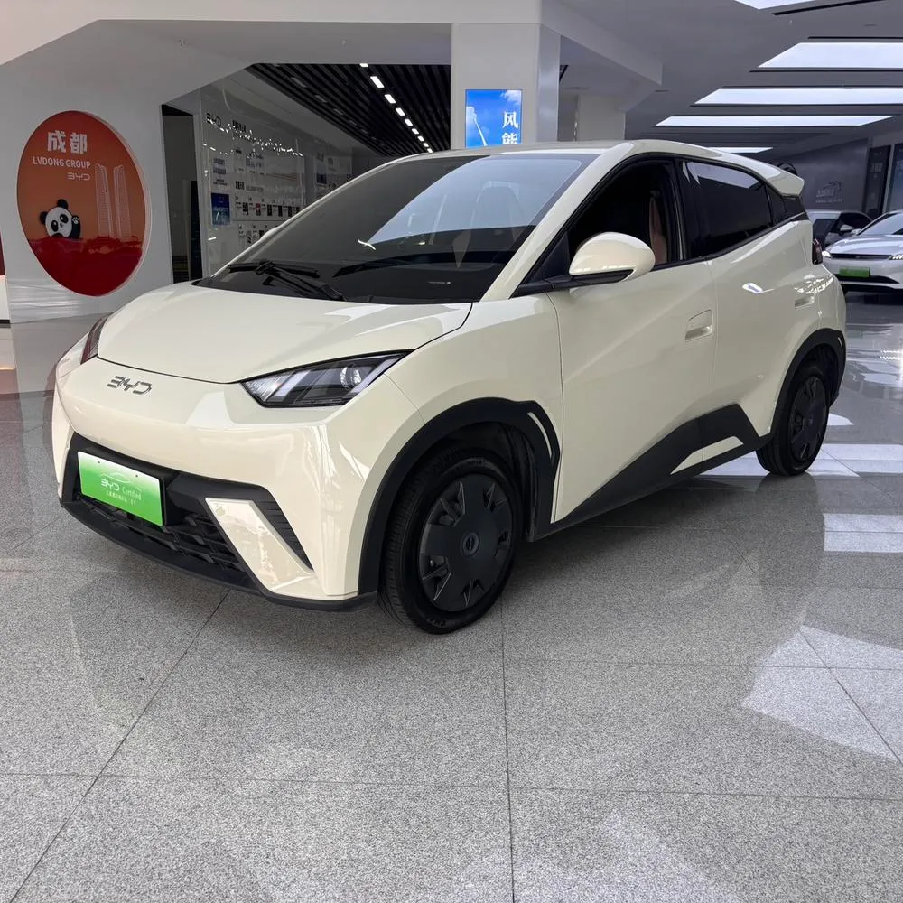 BYD Seagull, 2024