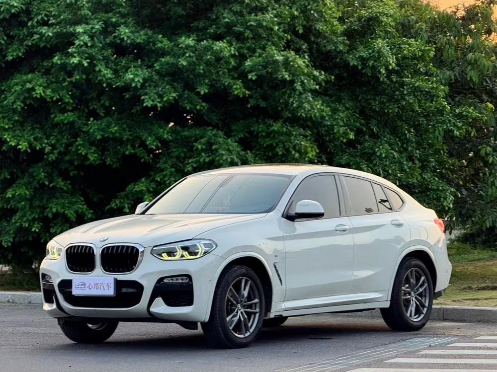 BMW X4, 2019