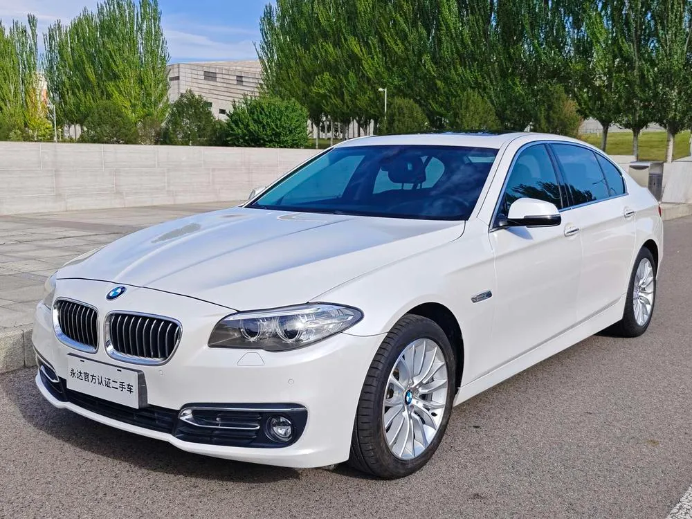 BMW 5-Series 525Li Luxury, 2017 — фото 1