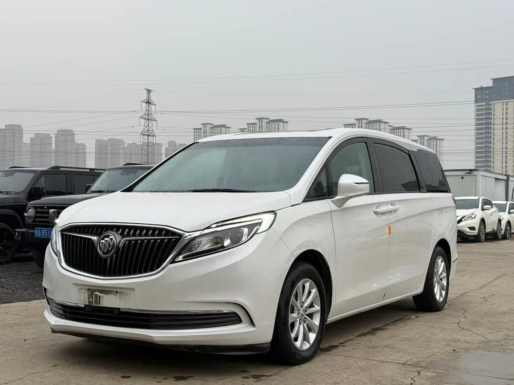 Buick GL8 ES 28T Comfort Version CN5, 2017 — фото 1