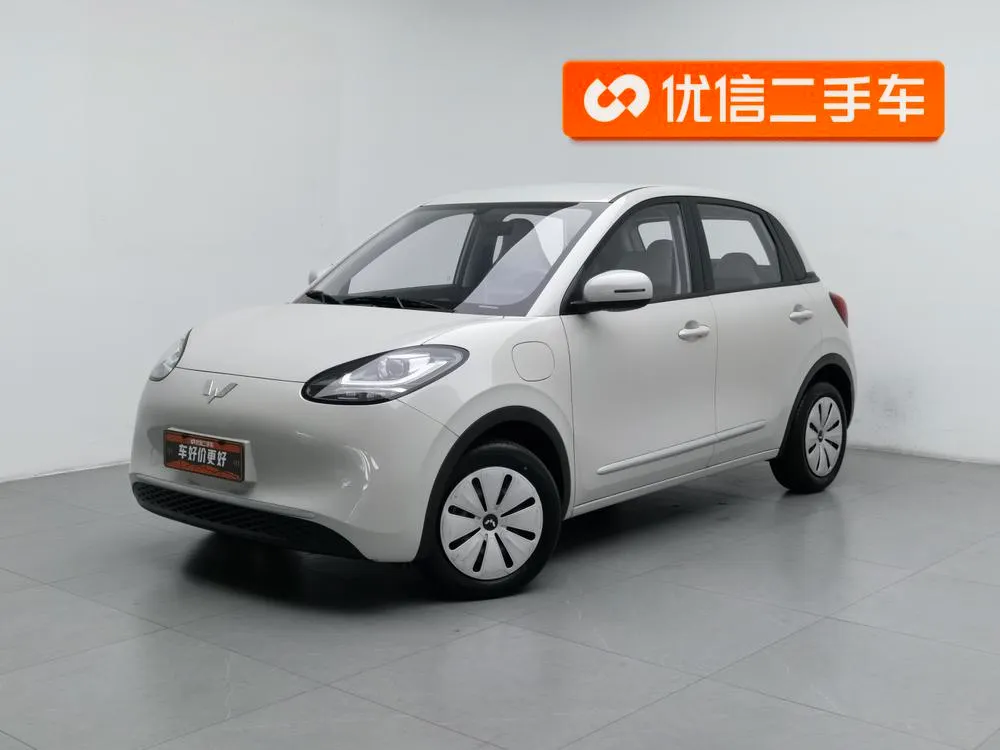 Wuling Bingo, 2024