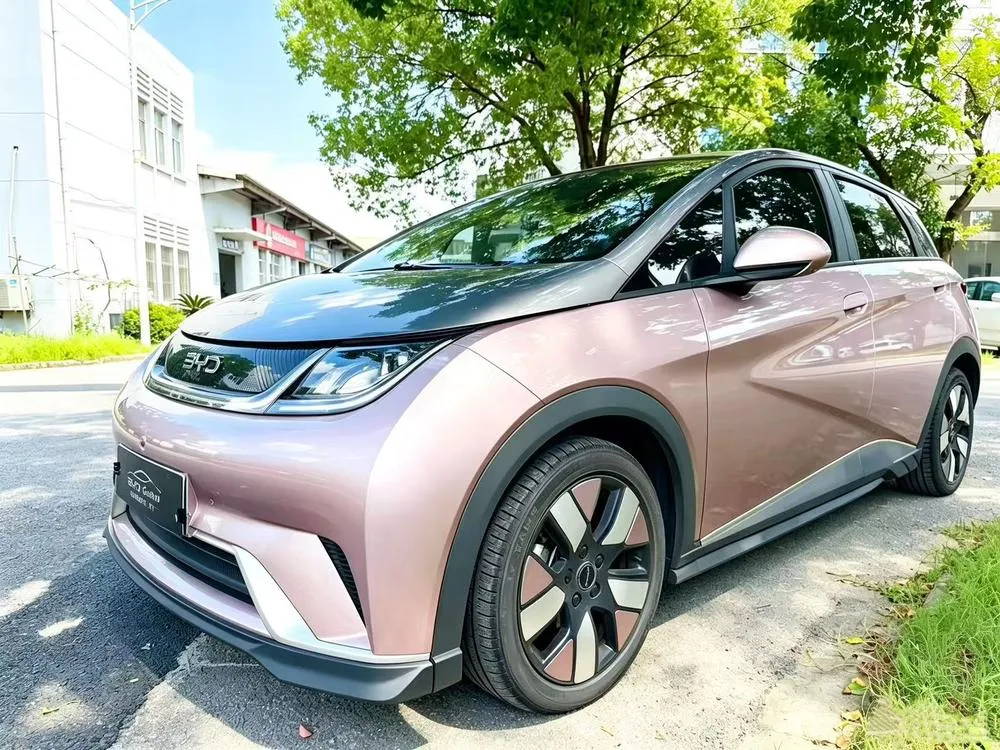 BYD Dolphin, 2021