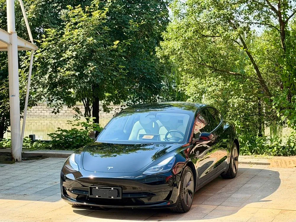 Tesla Model 3, 2022