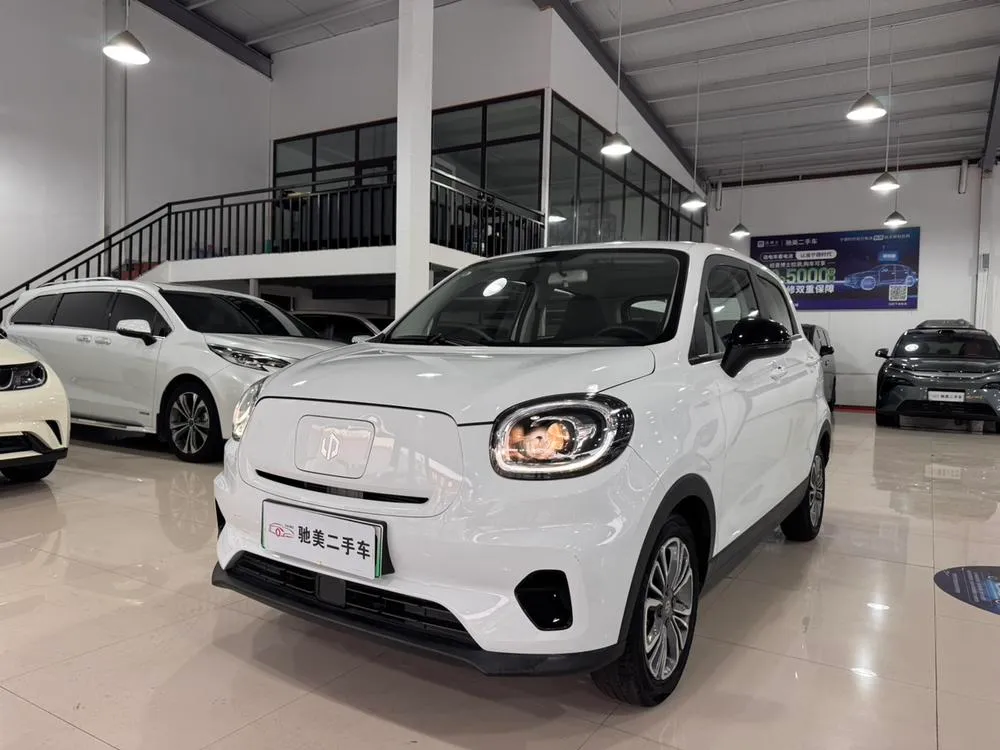 Leapmotor T03, 2021