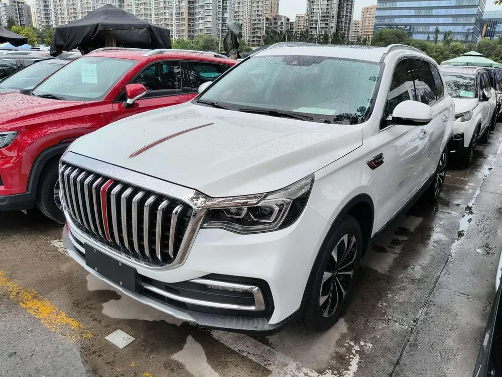 Hongqi HS7, 2019