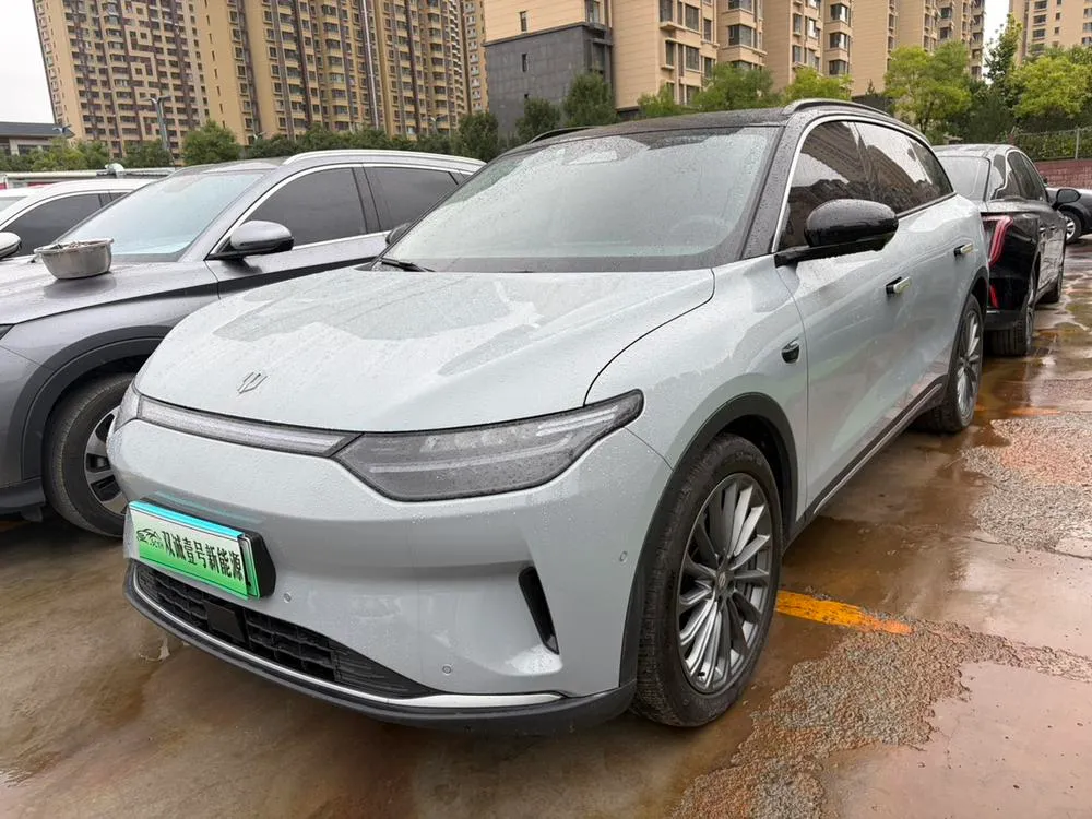 Leapmotor C11, 2024
