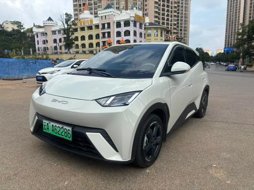 BYD Seagull, 2023
