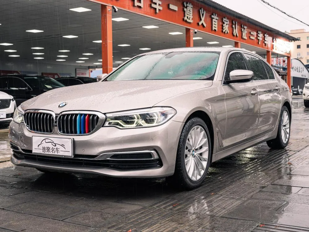 BMW 5-Series 530Li Prestige Version Luxury, 2020 — фото 1