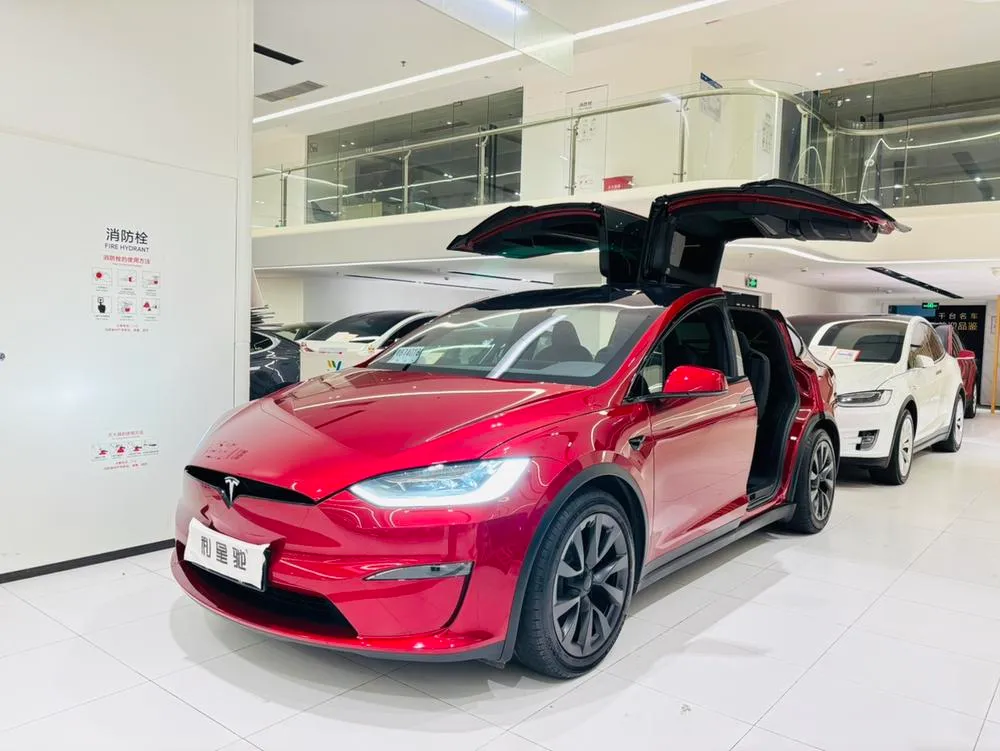 Tesla Model X Dual Motor AWD Edition, 2023 — фото 1
