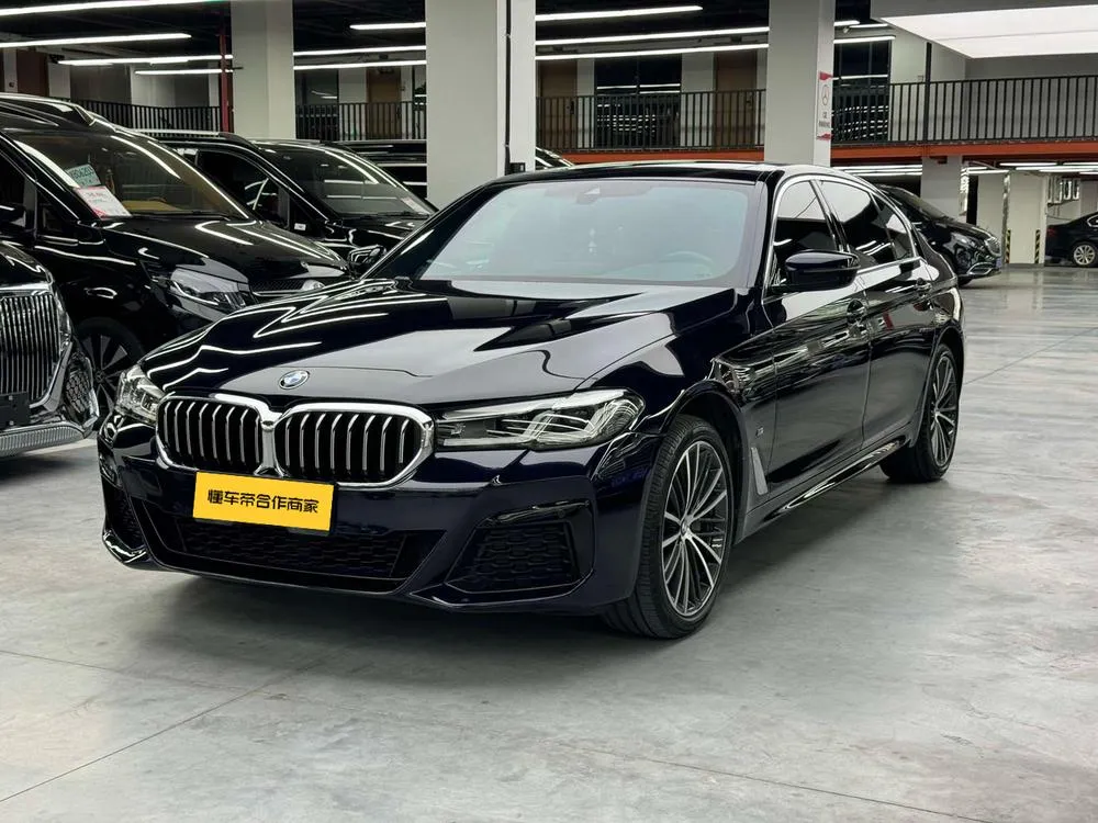 BMW 5-Series 530Li Leading Version M Sport, 2023 — фото 1