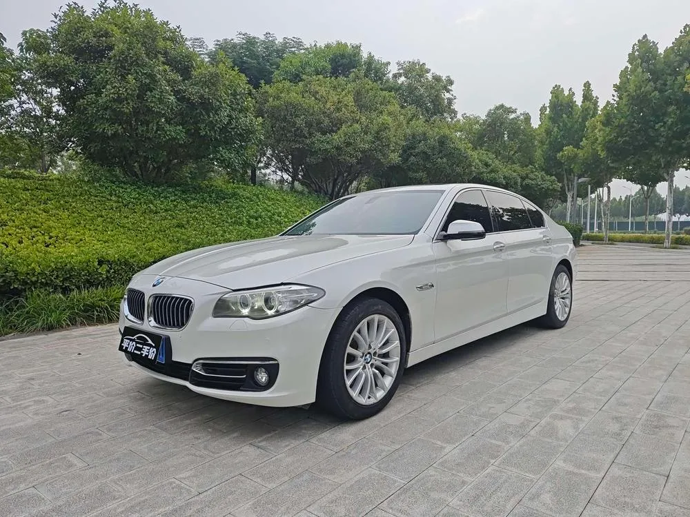 BMW 5-Series 525Li Luxury, 2014 — фото 1