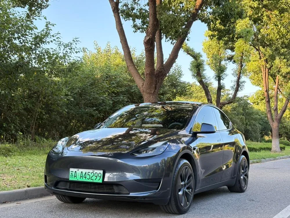 Tesla Model Y, 2024