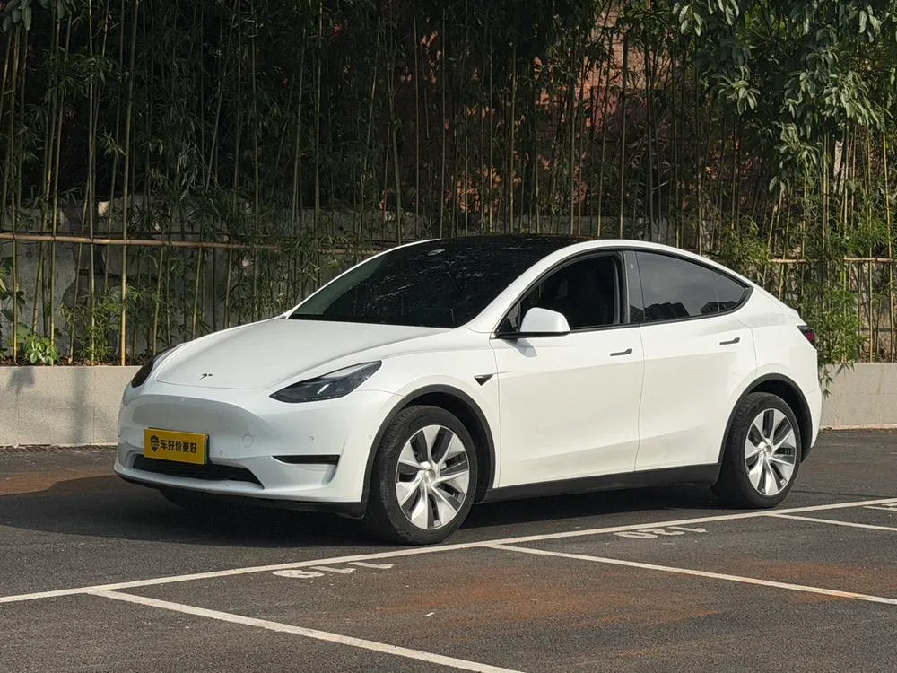 Tesla Model Y, 2021