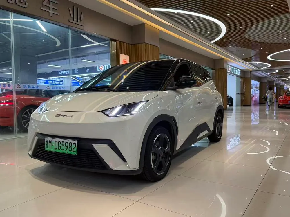 BYD Seagull, 2023