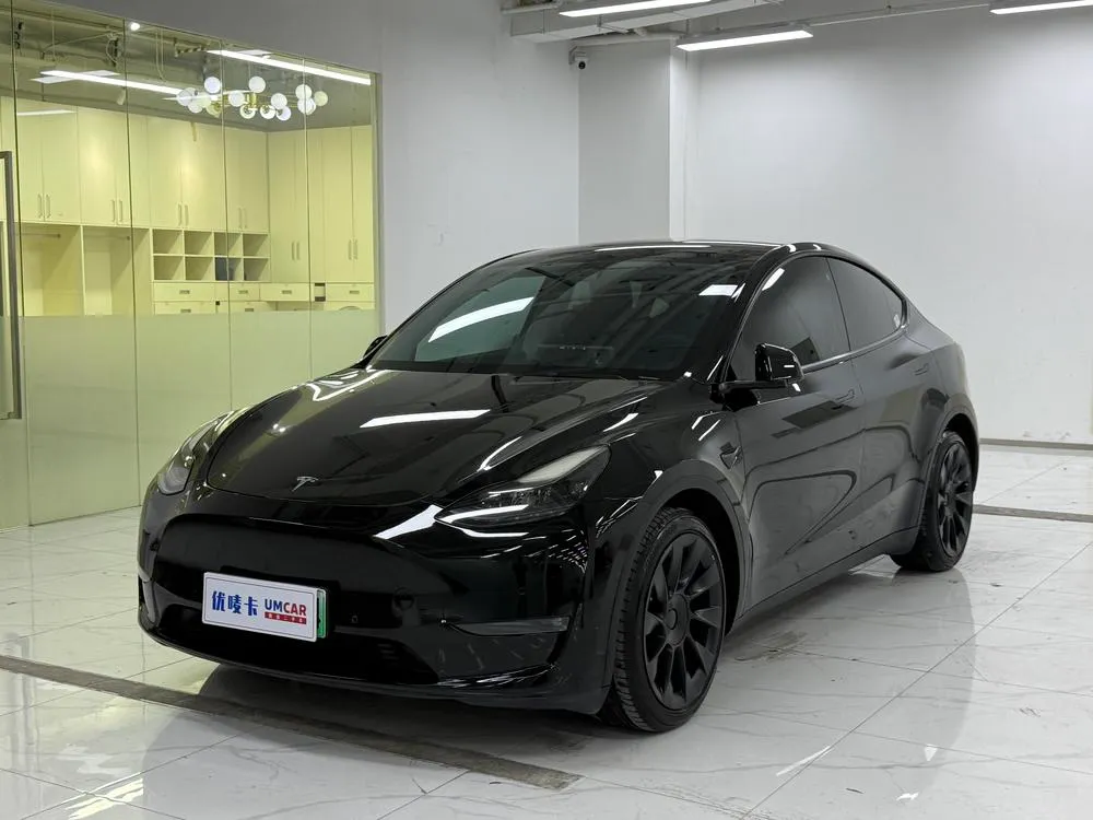 Tesla Model Y, 2021