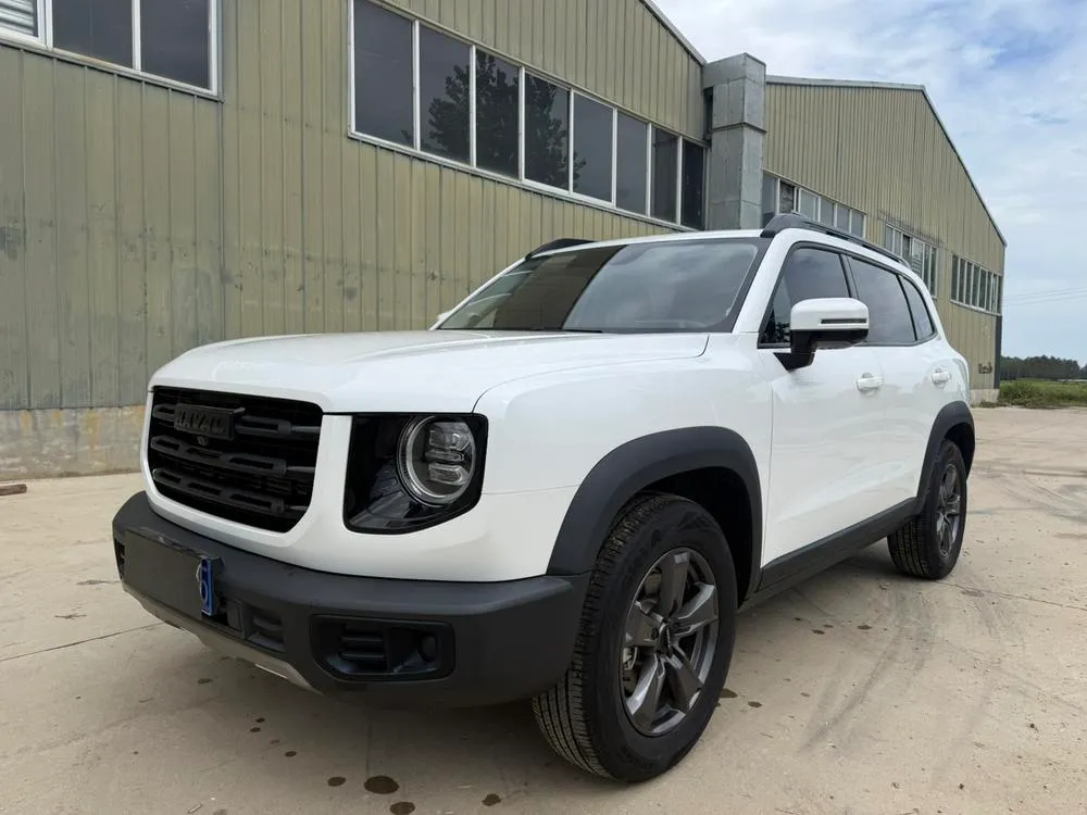 Haval Big Dog, 2021