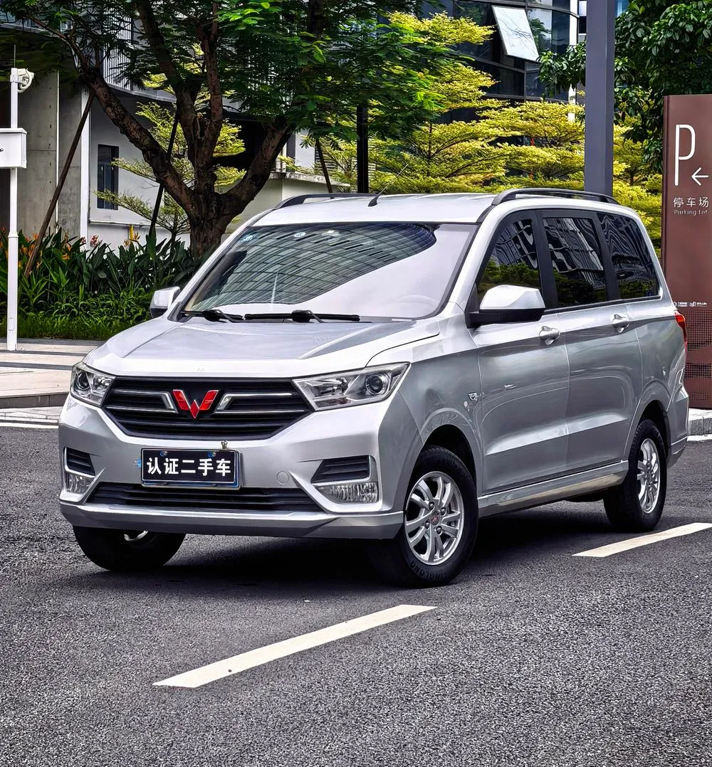 Wuling Hongguang, 2019