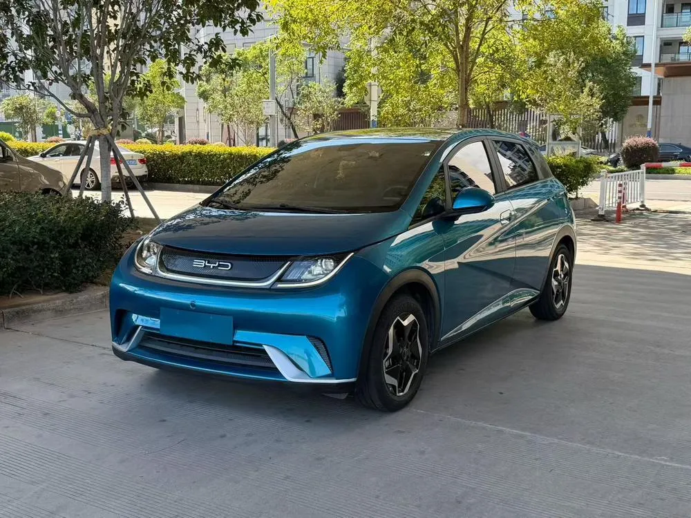 BYD Dolphin, 2021