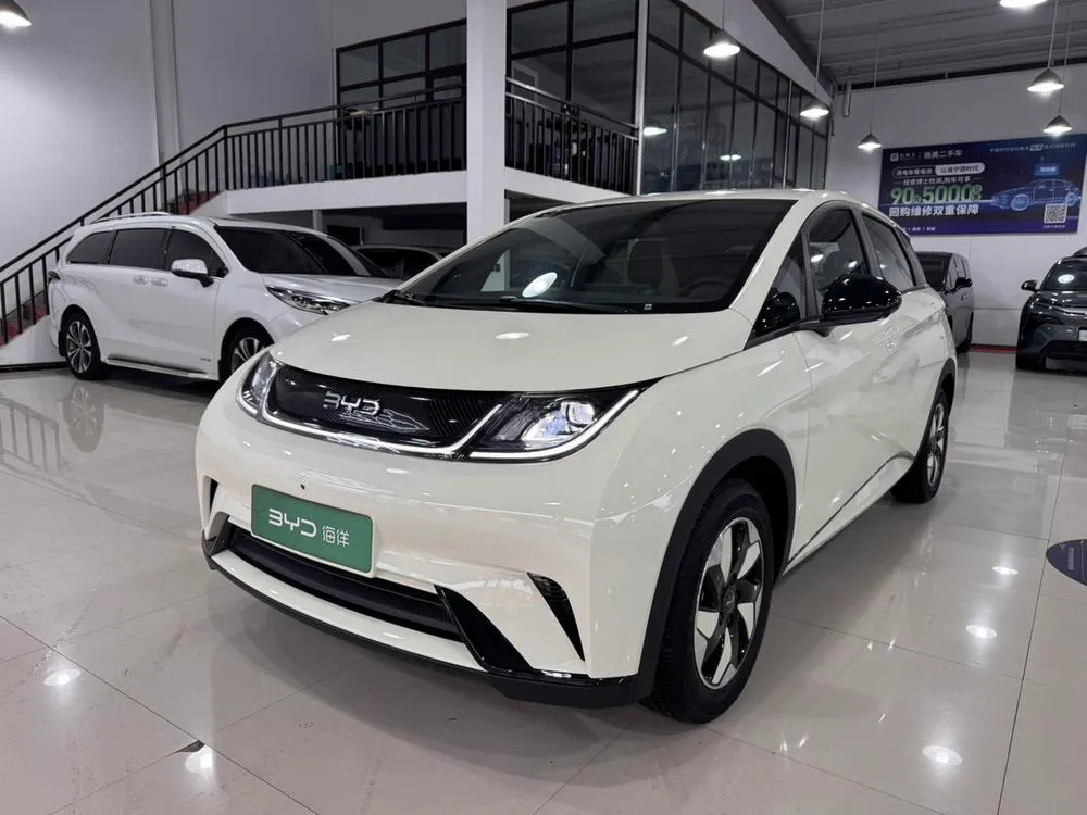 BYD Dolphin, 2025