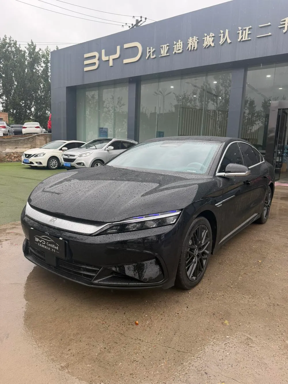 BYD Han DM увеличенный запас хода автопилот DM-i 245KM Люкс, 2025 — фото 1
