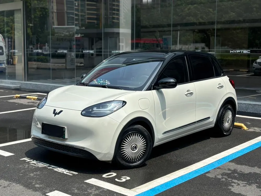 Wuling Bingo, 2023