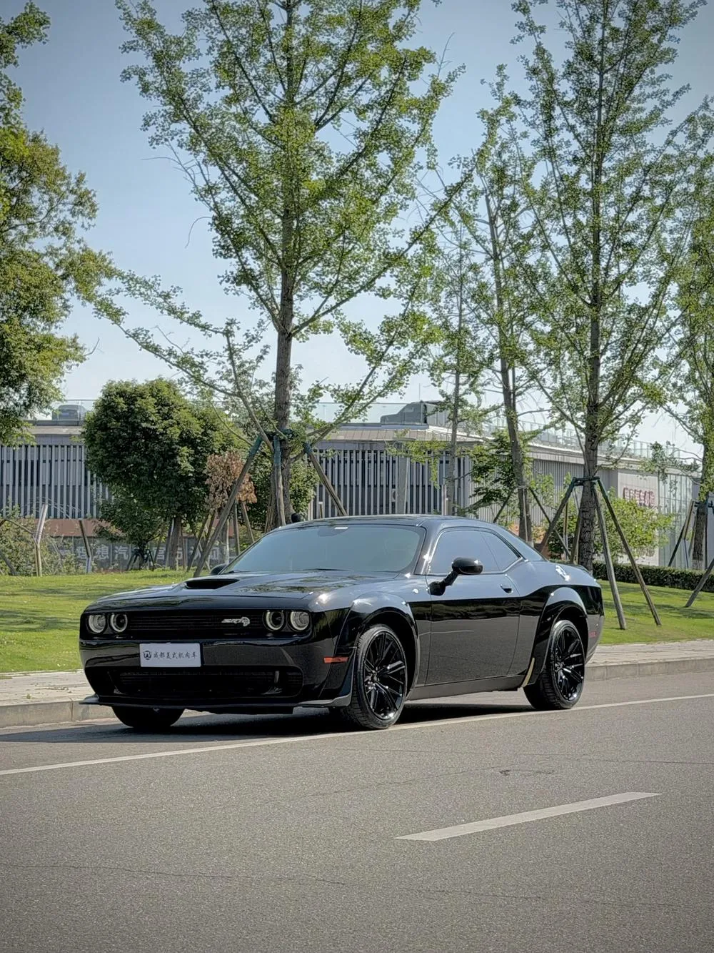 Dodge Challenger SRT, 2019