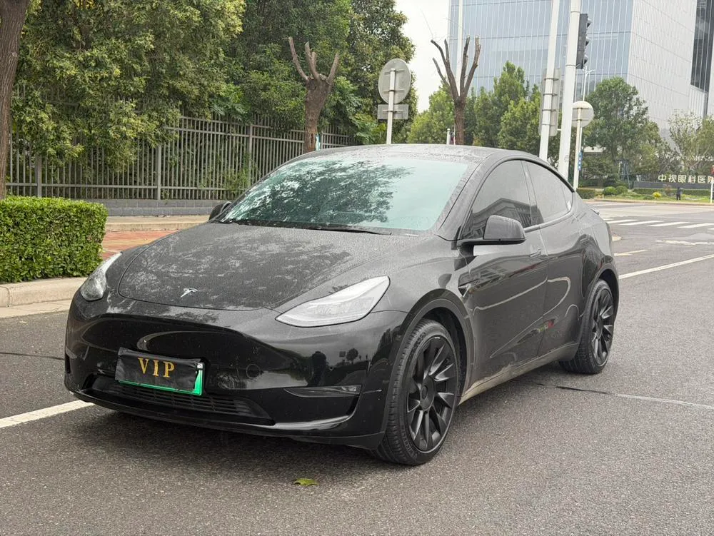 Tesla Model Y, 2021