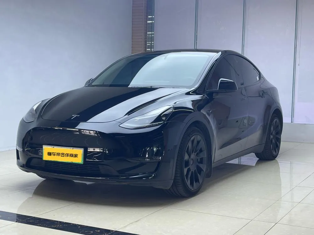 Tesla Model Y Standard Range Edition, 2021 — фото 1