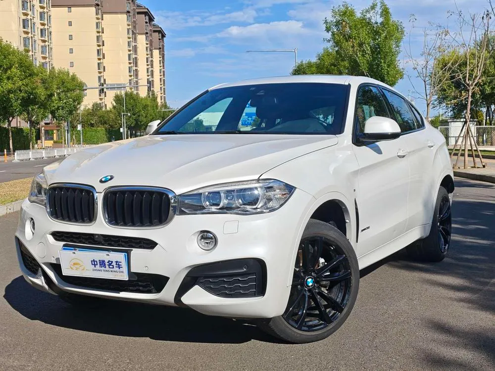 BMW X6, 2019