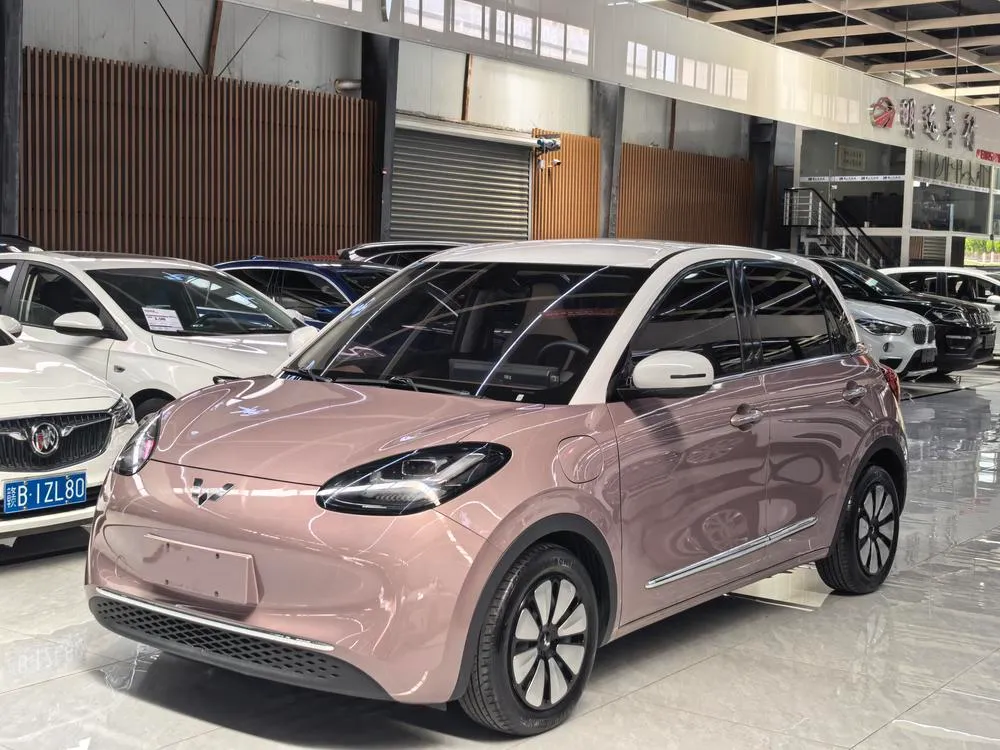 Wuling Bingo, 2023