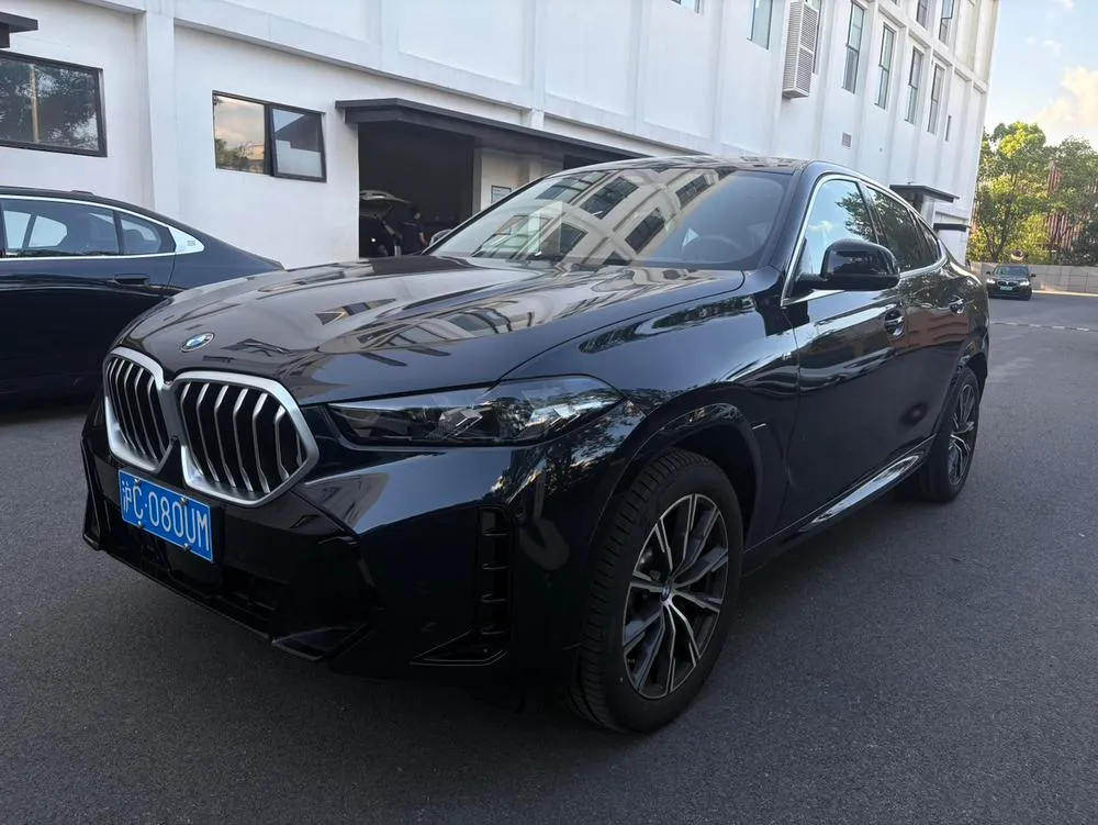 BMW X6, 2023