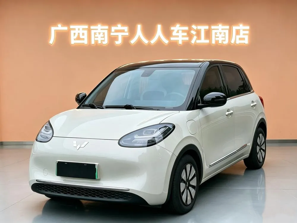 Wuling Bingo, 2024