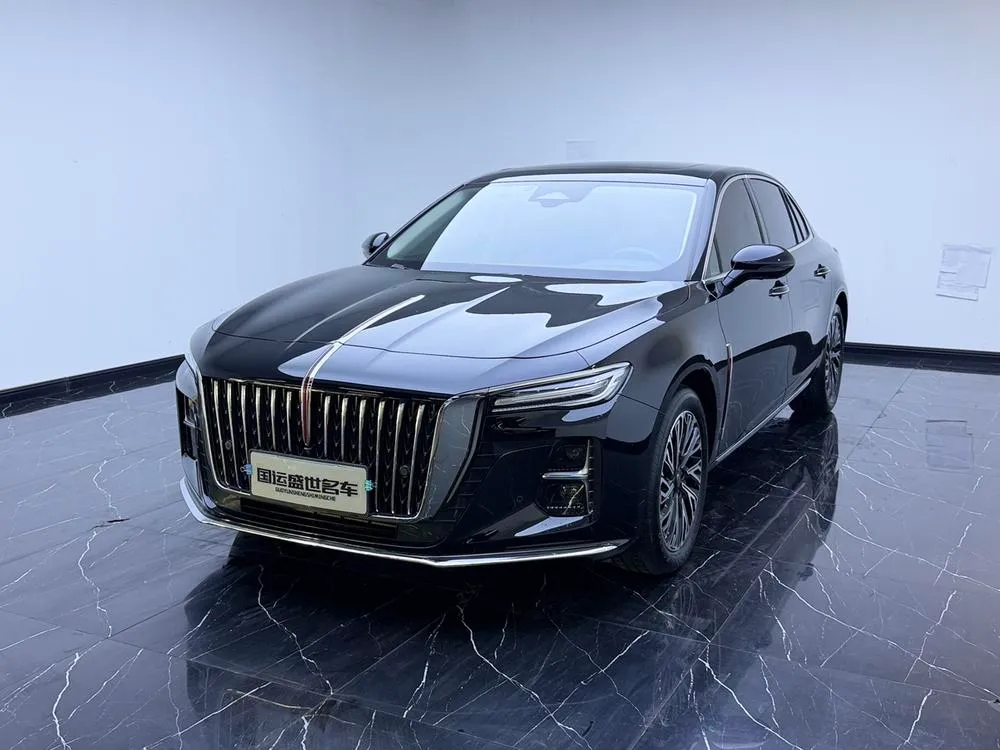 Hongqi H5, 2024