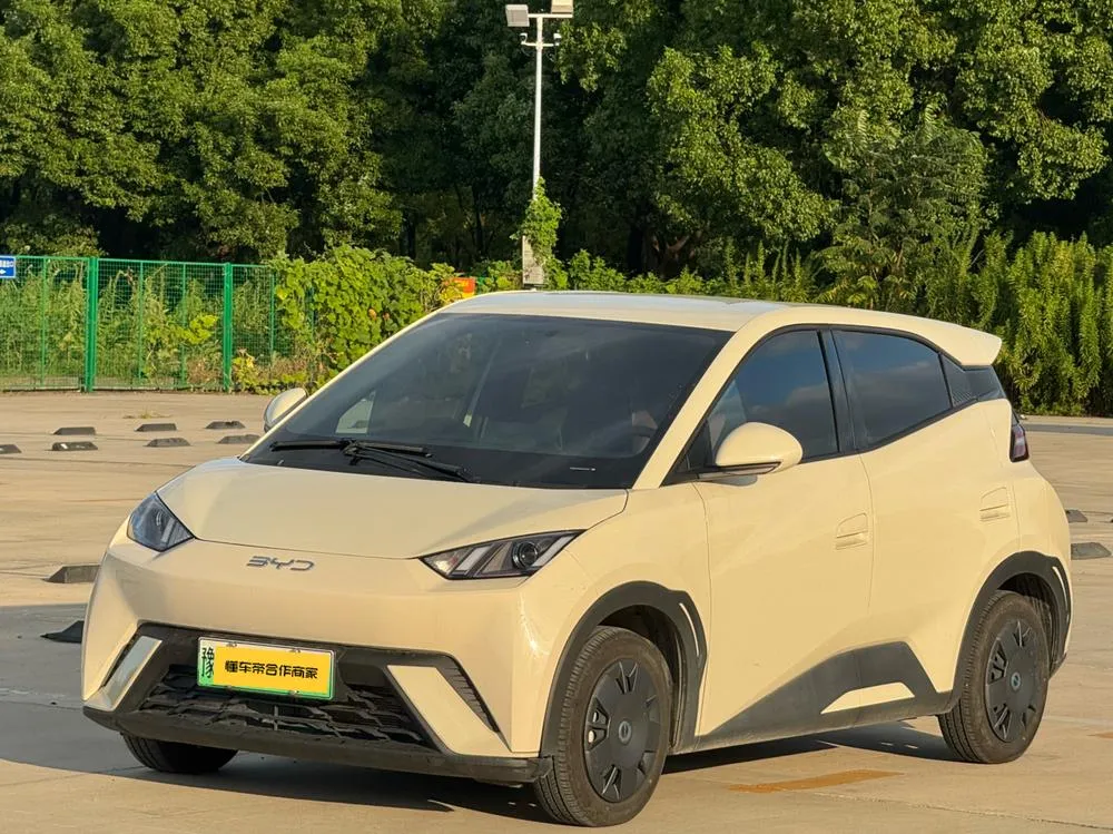 BYD Seagull, 2024