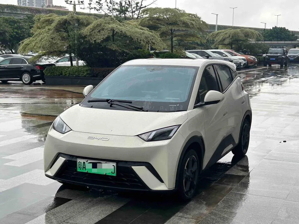 BYD Seagull, 2023