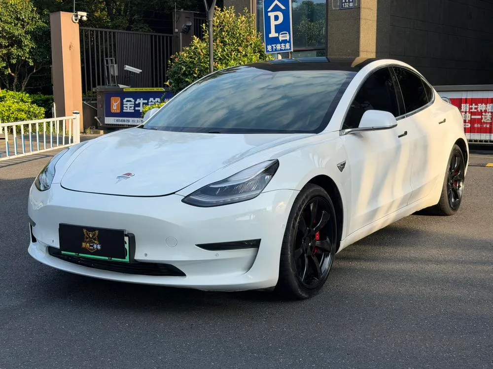 Tesla Model 3 (Import), 2019