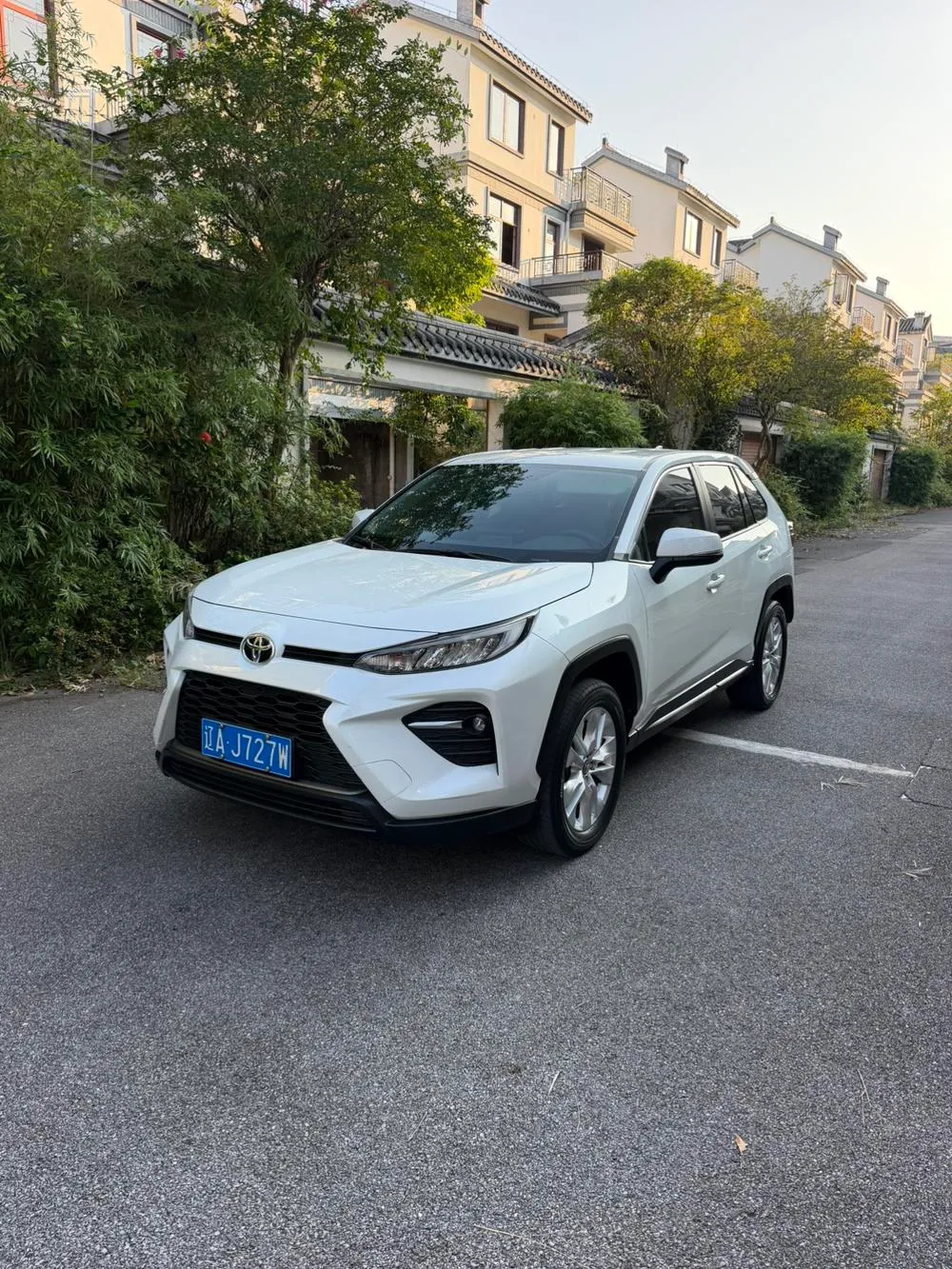 Toyota Wildlander, 2022