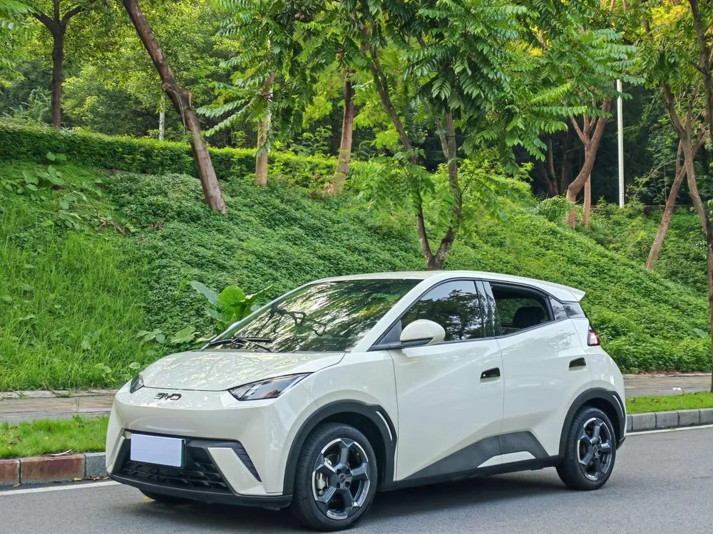 BYD Seagull, 2024