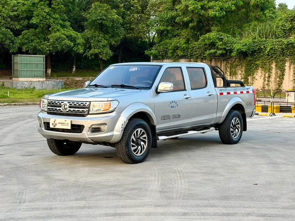 Dongfeng Rich, 2017