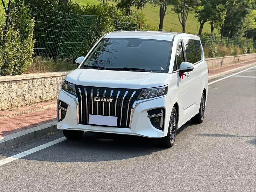 BAW Ruisheng Wangpai M7, 2025