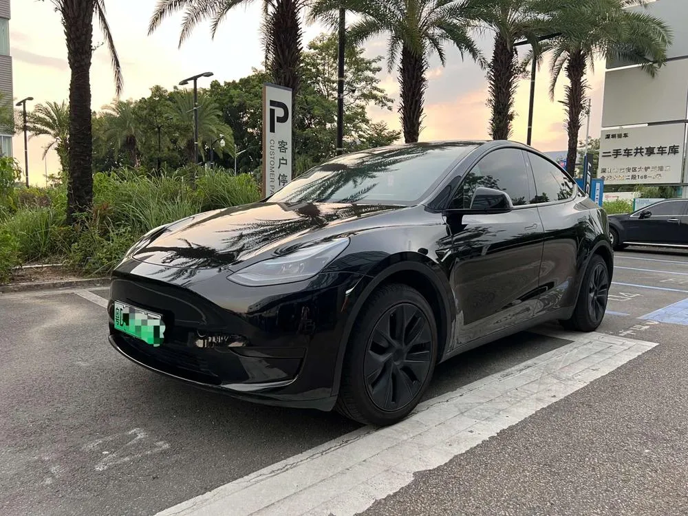 Tesla Model Y, 2024