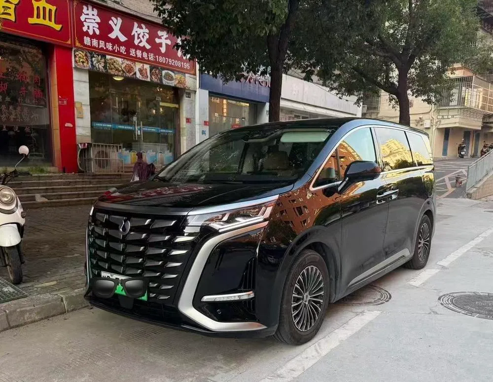 Denza D9 DM, 2024