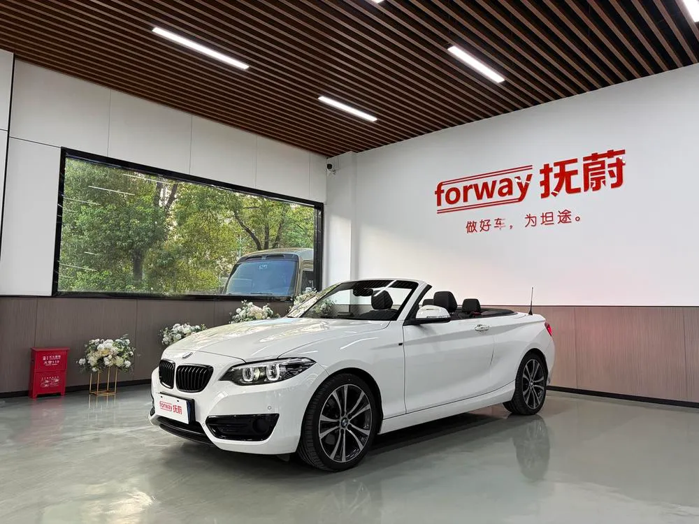 BMW 2-Series (Import) 225i Convertible Coupe Sport, 2019 — фото 1